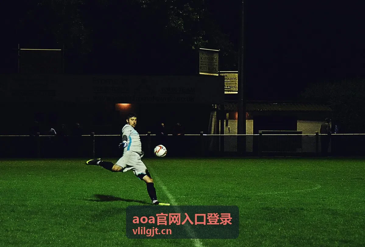 aoa官网入口登录 验证码接收异常排查场景